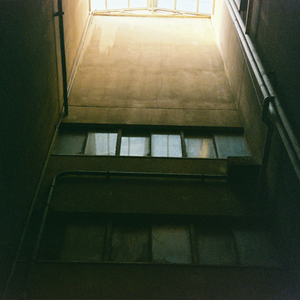 男女床上啪啪啪视频免费观看
