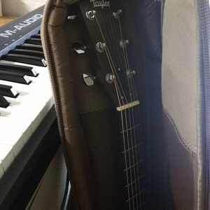 男女床上啪啪啪视频免费观看
